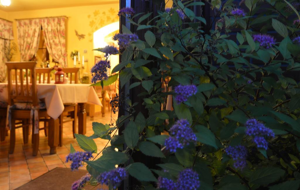 Hotel Magnes Szklarska Poreba Bagian luar foto